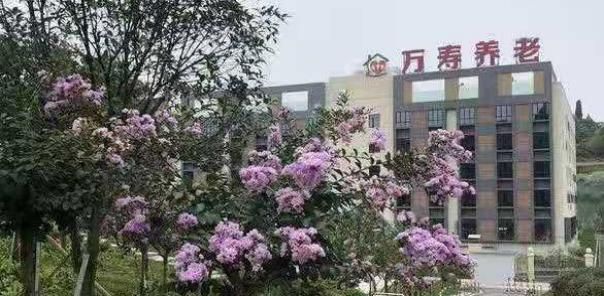 宜昌万寿养老院
